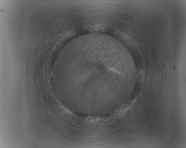 X0000081390913200702020251