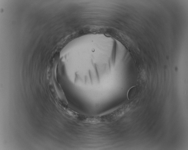 X0000081390914200702020251