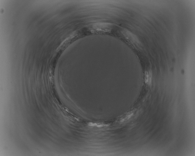 X0000081390915200702020251