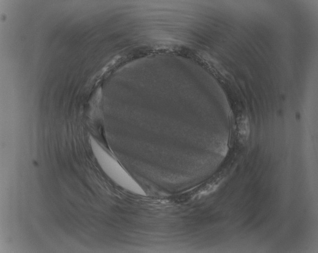 X0000081390916200702020251