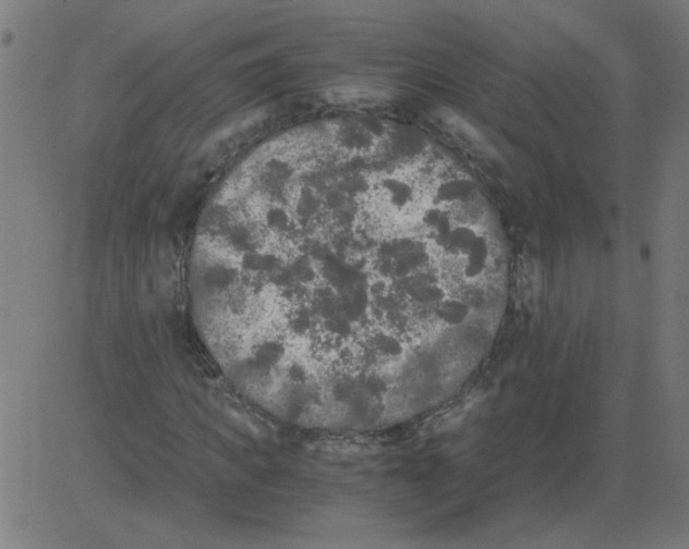 X0000081390917200702020251