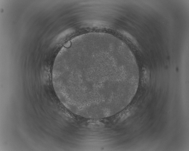 X0000081390918200702020251