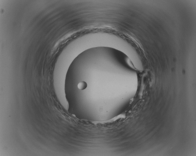 X0000081390920200702020251