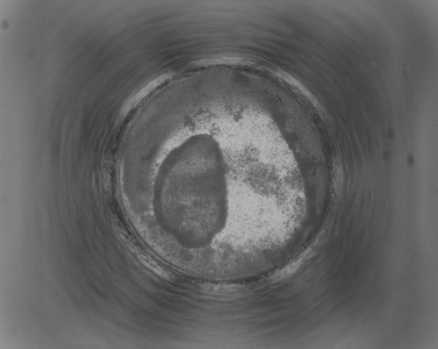 X0000081390921200702020251