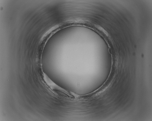 X0000081390922200702020251