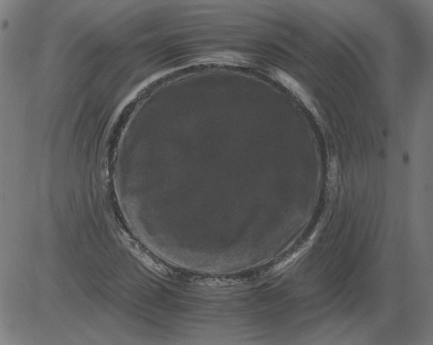 X0000081390923200702020251