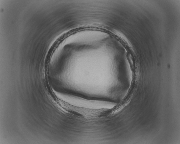 X0000081390924200702020251