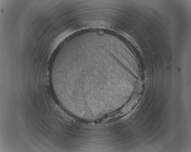 X0000081390926200702020251