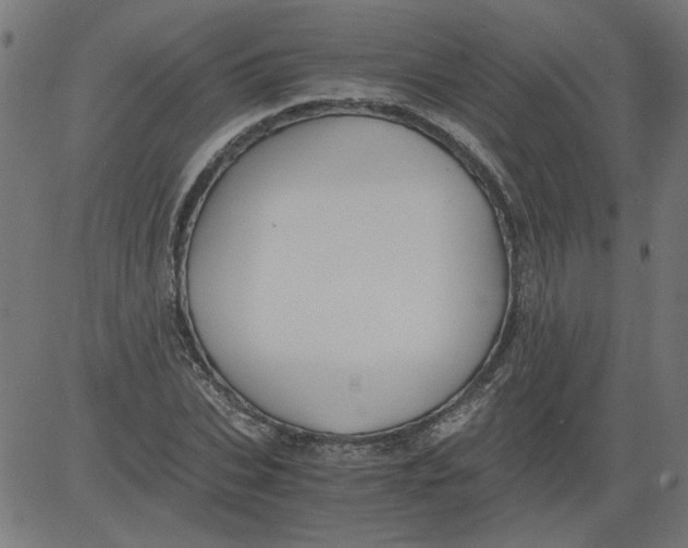 X0000081390927200702020251