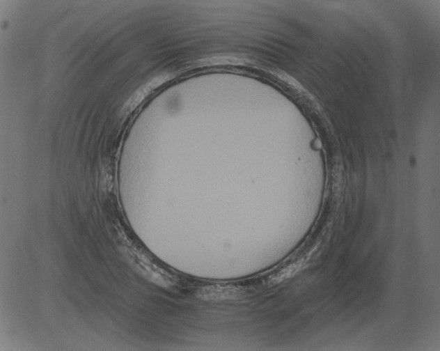 X0000081390929200702020251