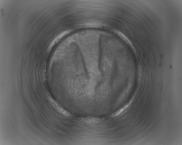 X0000081390930200702020251