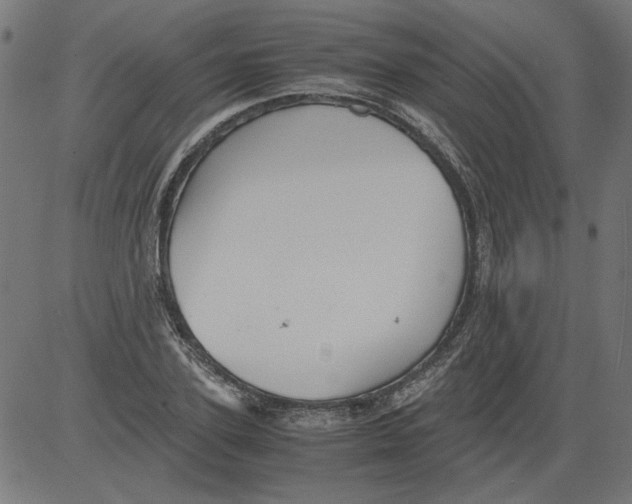 X0000081390931200702020251