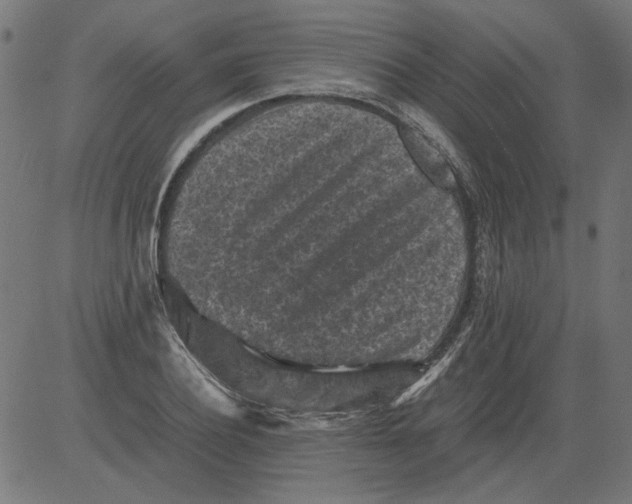 X0000081390932200702020252