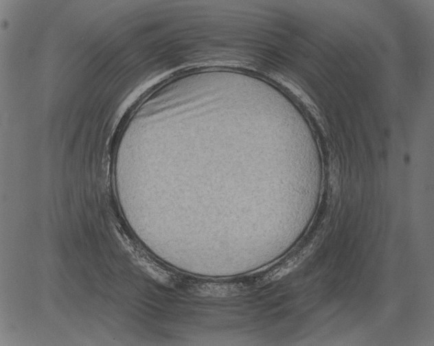 X0000081390933200702020252