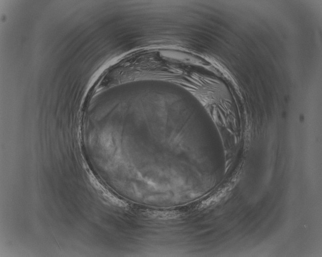 X0000081390941200702020252