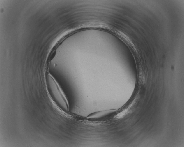 X0000081390942200702020252