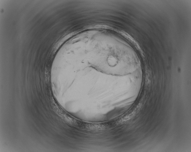 X0000081390945200702020252