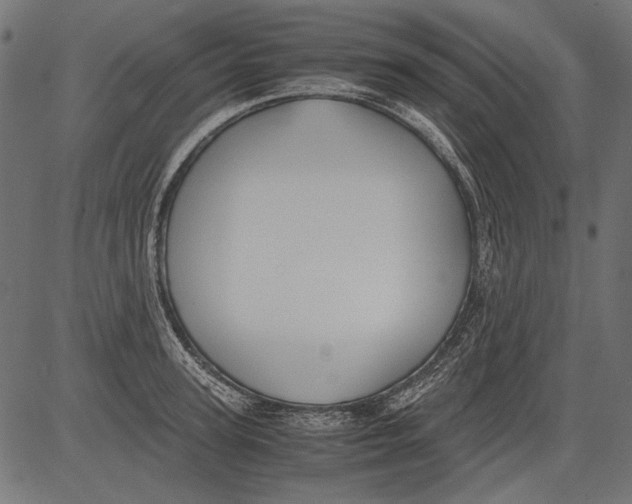 X0000081390947200702020252