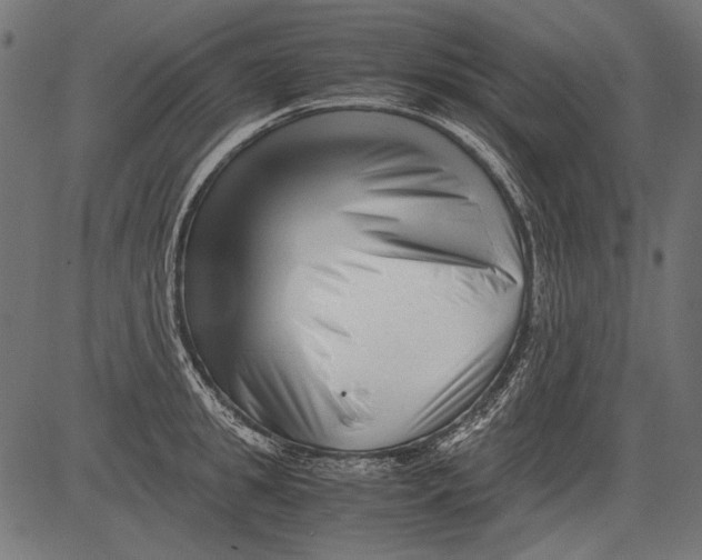 X0000081390949200702020252