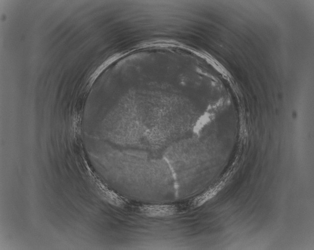 X0000081390953200702020252