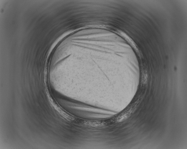 X0000081390955200702020252