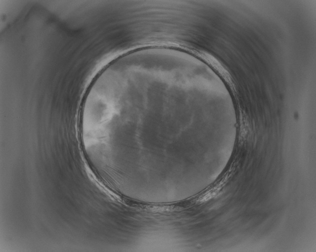 X0000081390958200702020252