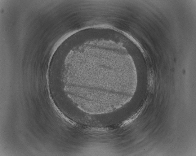 X0000081390959200702020252