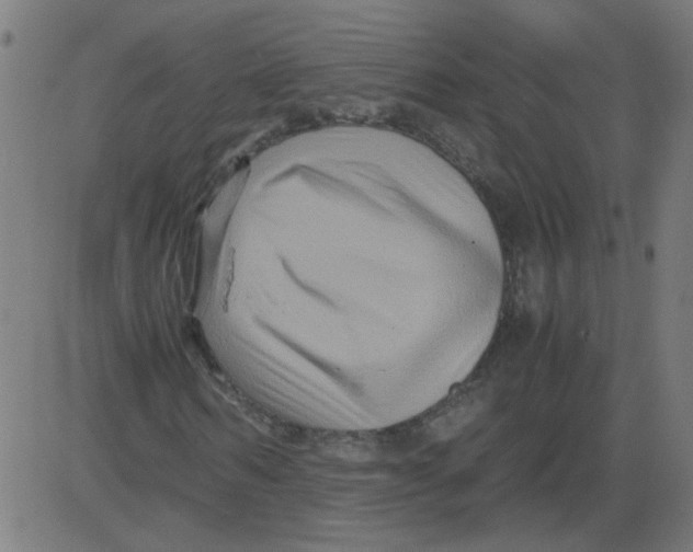 X0000081390962200702020251