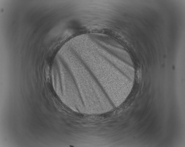 X0000081390963200702020251