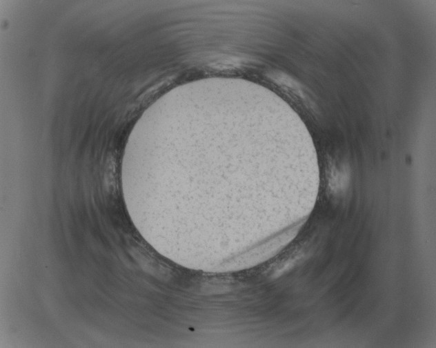 X0000081390964200702020251