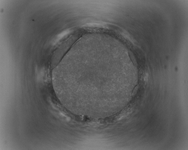 X0000081390965200702020251