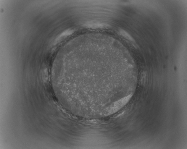 X0000081390966200702020251