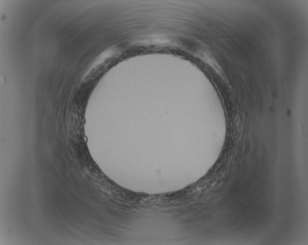 X0000081390967200702020251