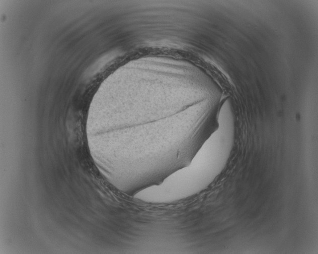 X0000081390968200702020251