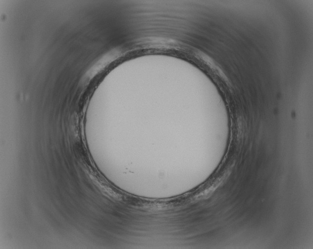 X0000081390970200702020251