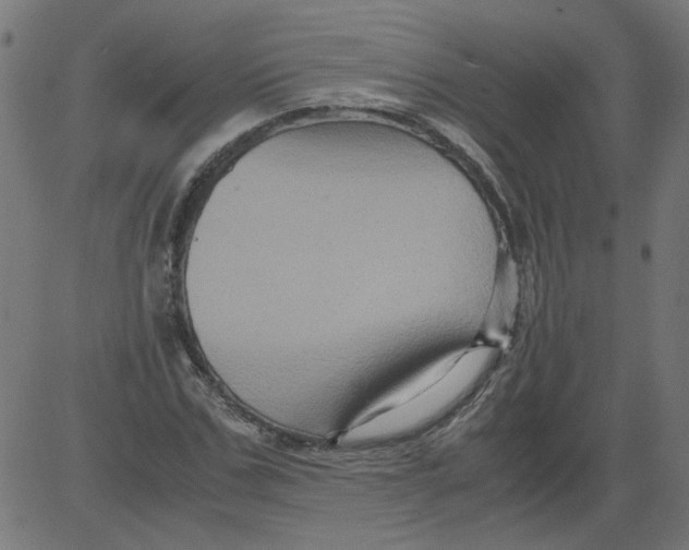 X0000081390971200702020251