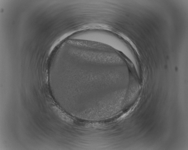 X0000081390973200702020251