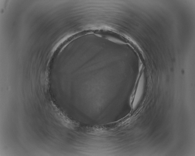 X0000081390975200702020251