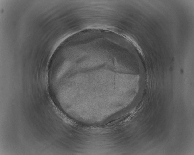 X0000081390976200702020251