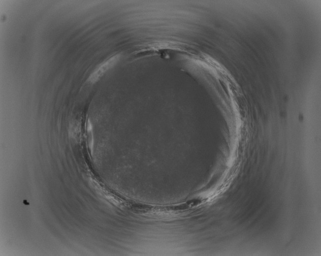 X0000081390977200702020251