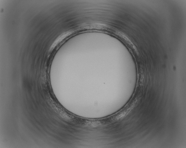 X0000081390978200702020251