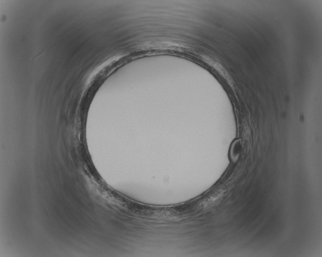 X0000081390979200702020251