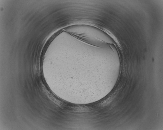 X0000081390980200702020251