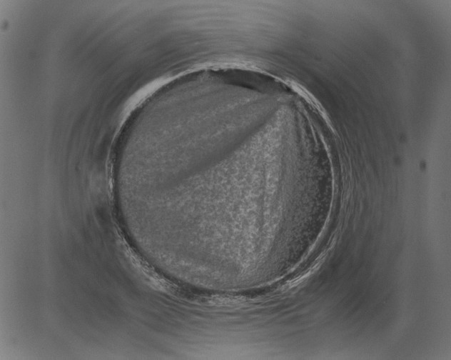 X0000081390981200702020251