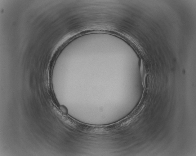 X0000081390982200702020251