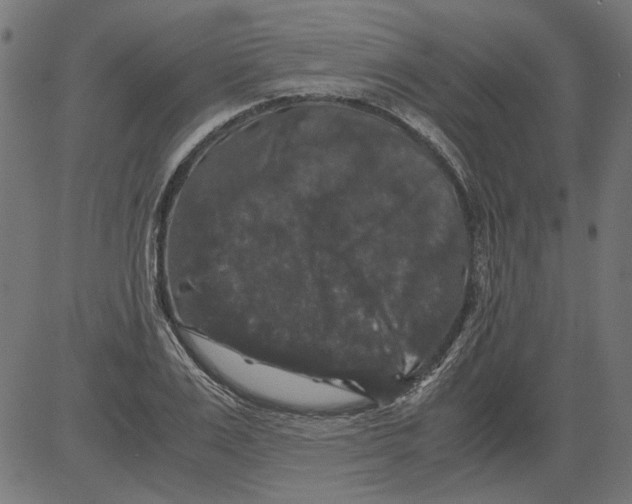 X0000081390983200702020251