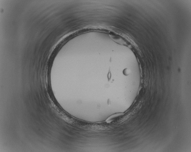 X0000081390984200702020251