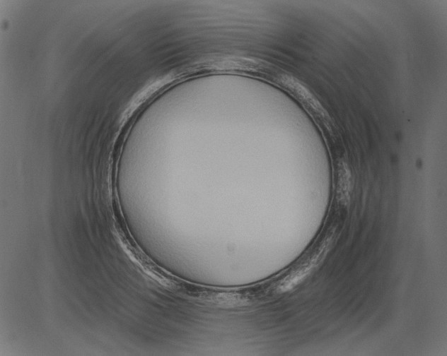 X0000081390986200702020251