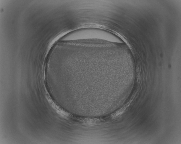 X0000081390987200702020251