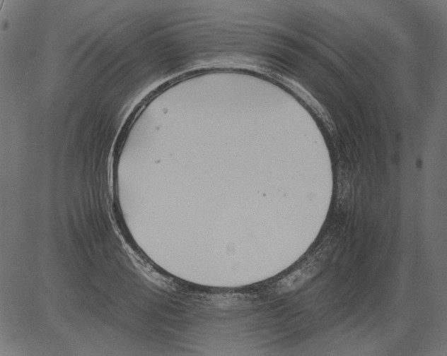 X0000081390988200702020251